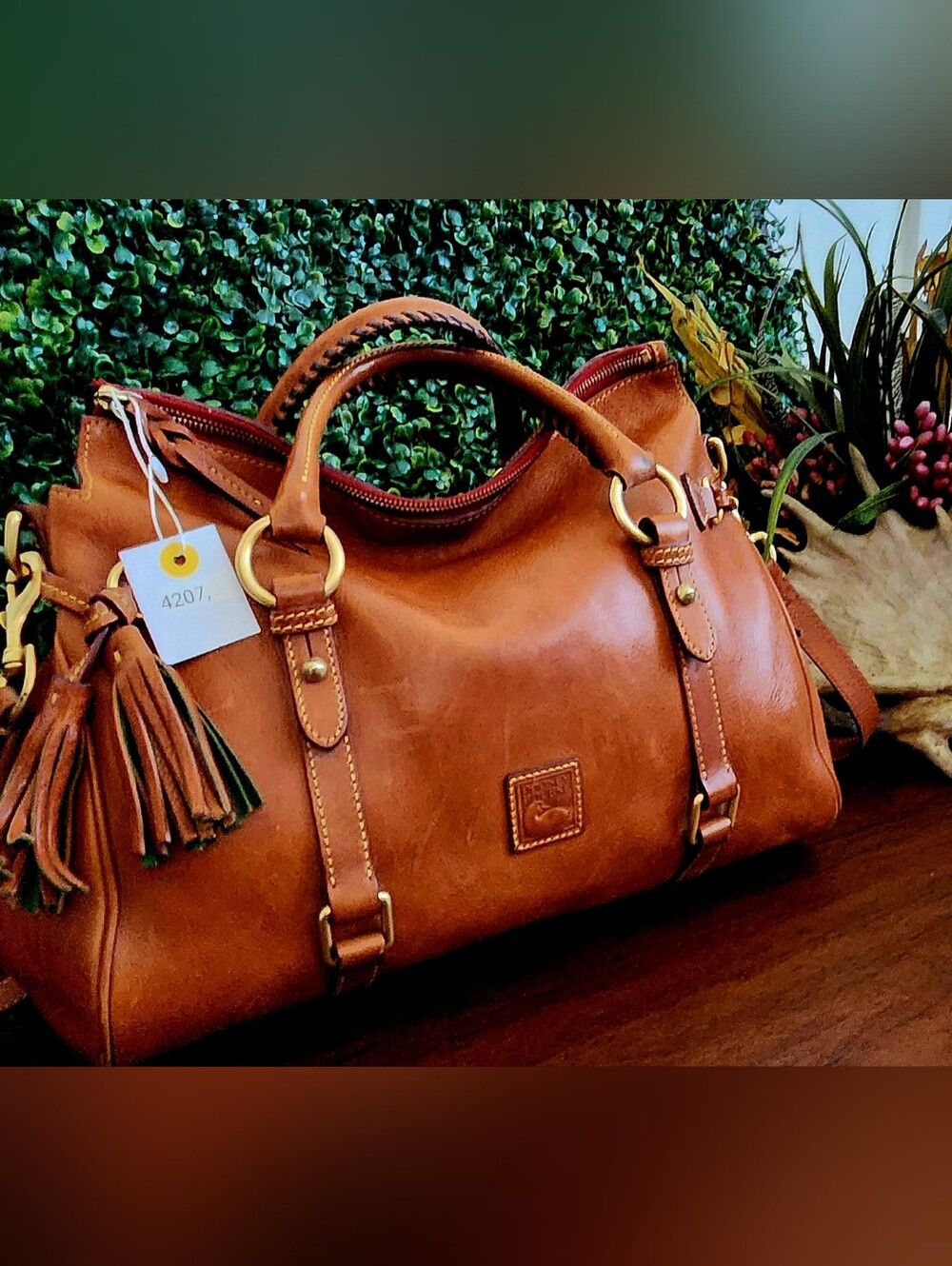 Dooney & Bourke Tan Leather Satchel - Classic Tassel Handbag